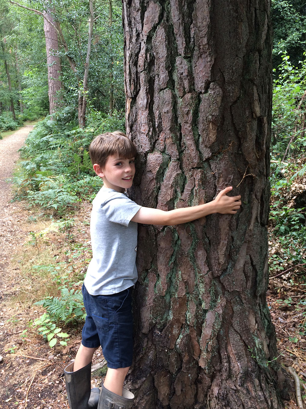 boy hugging a tree
