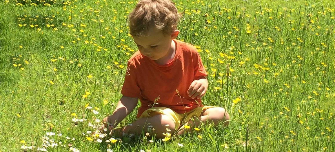 toddler sitting in a meadow, playing with flowers